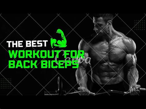 Back And Bicep Workout Musclepharm Eoua Blog