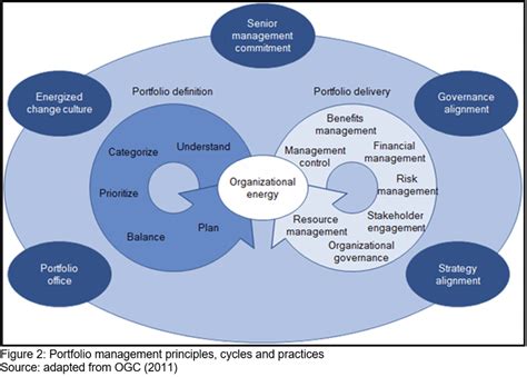 Portfolio Management Principles Cycles And Practices Download