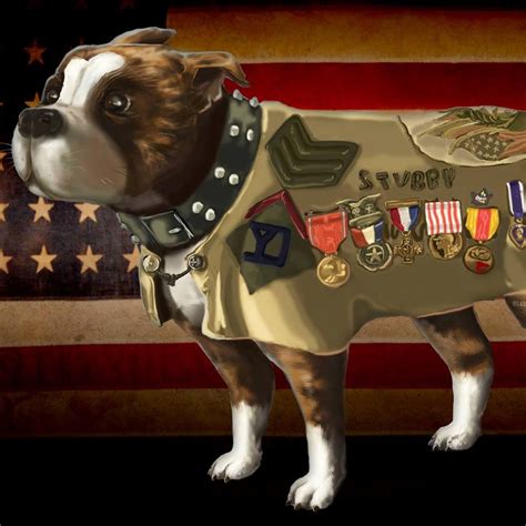 An american hero near you. Roads to the Great War: Coming in 2018: Sgt. Stubby the Movie