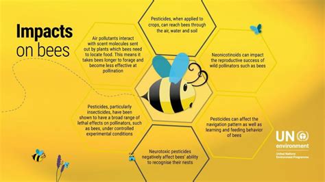 Bees Play A Vital Role In Ecosystems As Pollinators Nature Blog Network