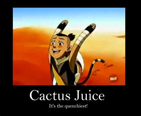Cactus Juice Tripping Sokka Meme Research Discussion Know Your Meme