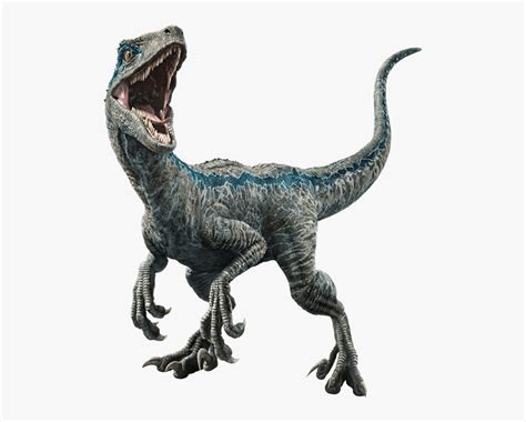 Blue Jurassic World Dinosaur Party Decorations Dinosaur Pictures World Tattoo Hd Images