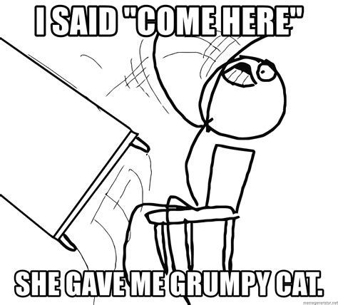 i said come here she gave me grumpy cat desk flip rage guy meme generator