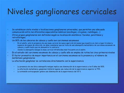 Ppt Anatomía Cervical Powerpoint Presentation Id903406