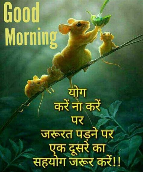 There are tons of good morning messages on the internet and they are easily downloadable. 800+ Shandar {Good Morning Images} in Hindi
