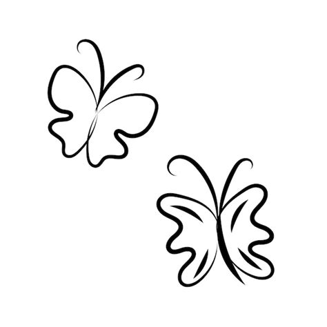 Premium Vector Vector Set Of Line Art Butterflies Monochrome