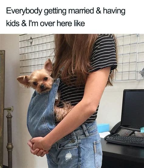 People Are Posting Hilarious Memes To Prove Pets Are Better Than Kids