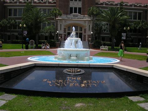 Florida State University Wallpapers 69 Pictures