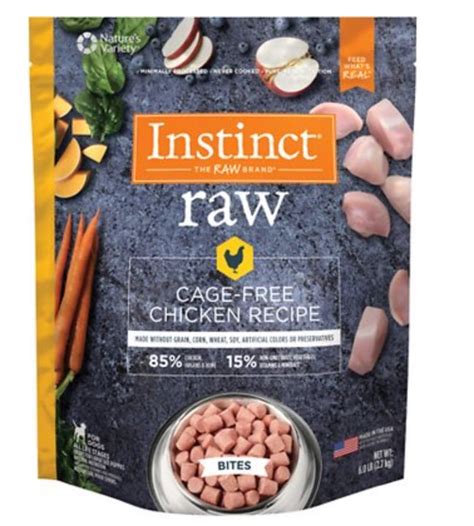 The 8 Best Affordable Raw Dog Foods In 2021 Dogs Explorer