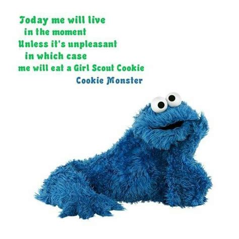 Pin By Jb Matoushek On Gs Cookie Memes Girl Scout Cookies Monster