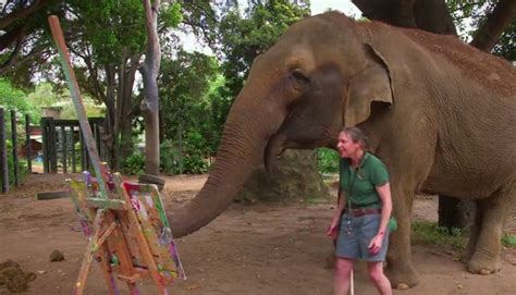 You Will Be Amazed By How This Elephant Creates 1000 Masterpiece Using