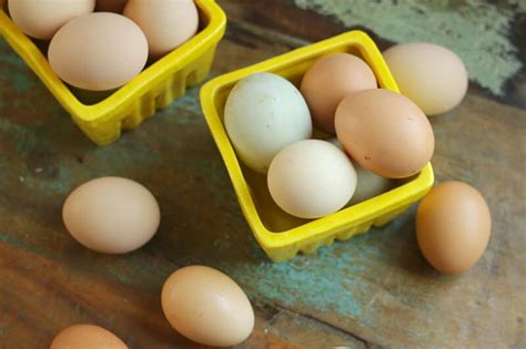 What comes to mind for me is easter. 50+ Ways to Use Extra Eggs • The Prairie Homestead