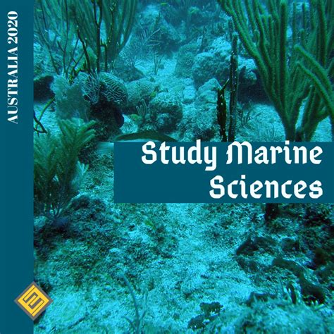 Best University For Marine Biology Australia