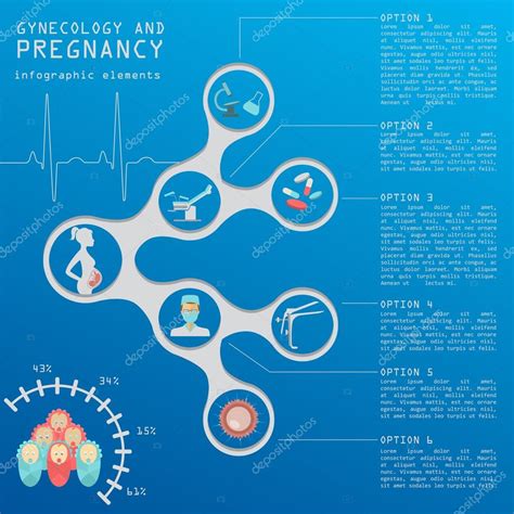 gynecology and pregnancy infographic template motherhood elemen stock vector image by ©a7880s