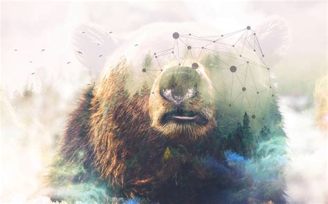 Grizzly Bear Forest Double Exposure 4k Wallpapers Hd Wallpapers Id