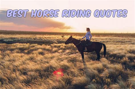 Good Horse Quotes And Sayings