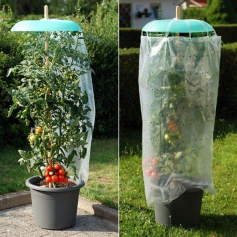 Maybe you would like to learn more about one of these? Tomatenhut Starter-Set 9tlg. | Pflanzen, Blumengarten ...