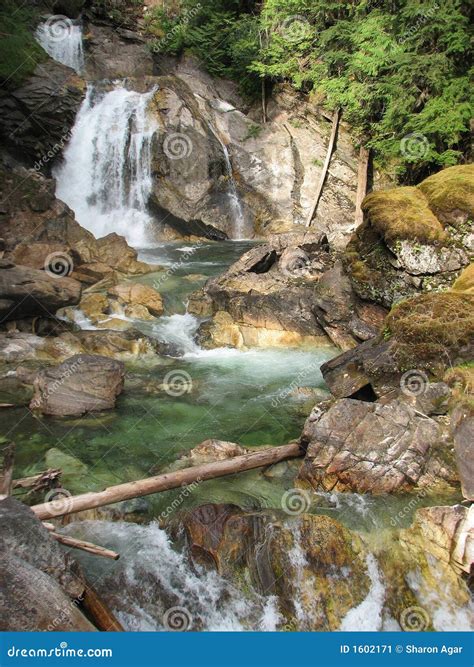Crazy Creek Waterfall Stock Image Image 1602171