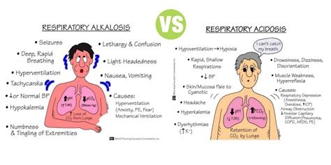 Acidosis And Alkalosis Definition Types Of Imbalances And Mcqs For