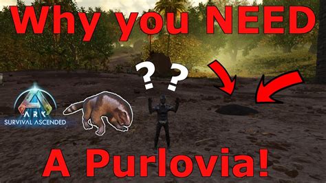 Ark Survival Ascended Why You Need A Purlovia Asa Anti Raid Ark Pvp