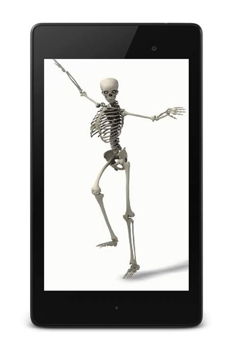 Skeleton Joint Skeleton Png Download 6821024 Free Transparent