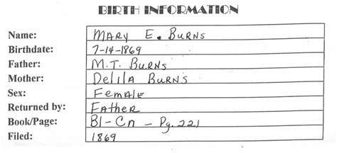 Birth Records Search Example