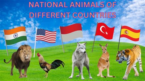 National Animals Of Countries National Animals Of World National
