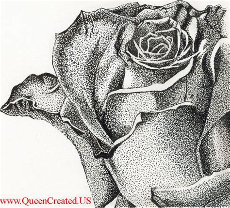 Stipple Rose Stipple Art Pen And Ink Drawing Queen Created Custom