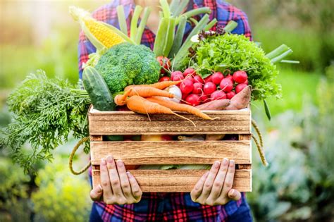 Nutrition Health And The Organic Farming Movement Ecofarming Daily