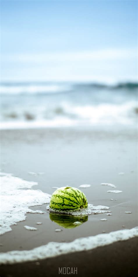 282870 Watermelon Buried Half In Sand With Ocean Foam Around At Ocean