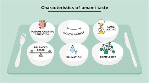 What Is Umami Everything About Umami Umami Ajinomoto Group