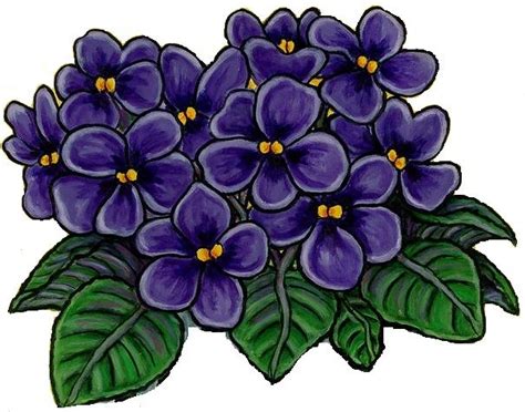 African Violet Clip Art Free Clip Art Library