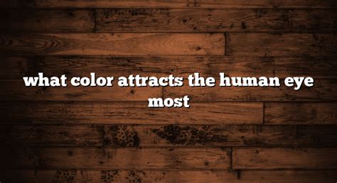 What Coloration Attracts The Human Eye Most Belinty