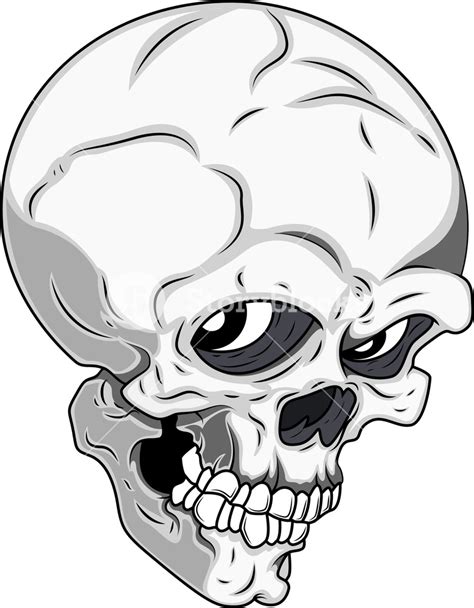 Detailed Skull Vector Illustration Royalty Free Stock Image Storyblocks