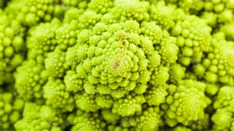Surface Of Fresh Romanesco Broccoli Close Up Stock Photo At Vecteezy