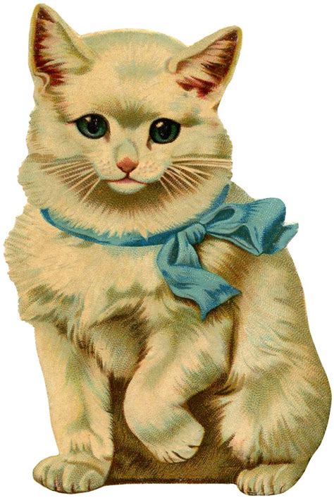 vintage white cat picture kitten pictures cat pics cat clipart ausgestopftes tier retro cats