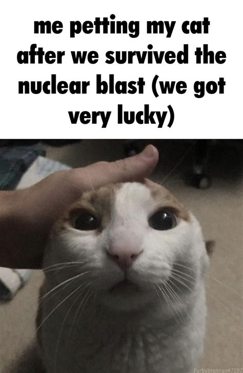Me Petting My Cat After We Survive The Nuclear Blast We Got Very Lucky