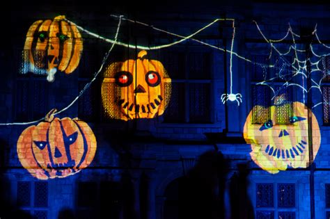 Halloween Show Free Stock Photo Public Domain Pictures