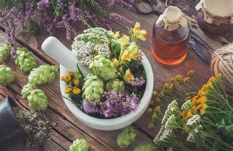 Plantes Médicinales Ces 6 Herbes Aromatiques Qui Soignent
