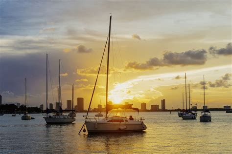 The 10 Best Miami Boat Tours