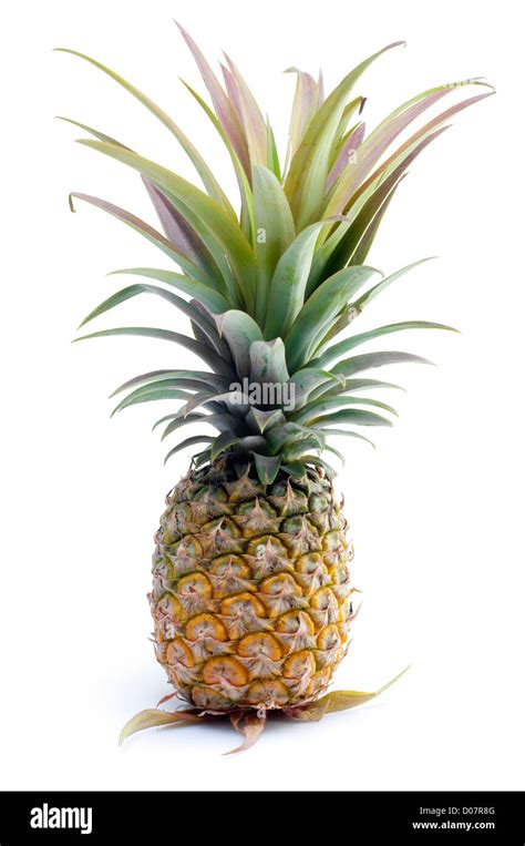 Single Whole Pineapple Isolated On White Background Stock Photo Alamy