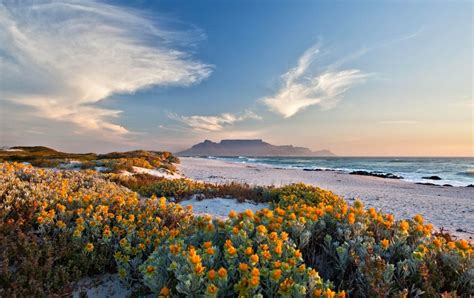 Moor Grusel Kontur Western Cape Province South Africa Aufrichtigkeit
