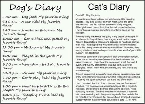Dog Diary And Cat Diary Cat Diary Cat Vs Dog Dog Person