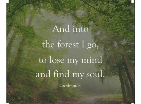 Pin By Nance Sam On Quotes Forest Quotes Nature Quotes Quotes