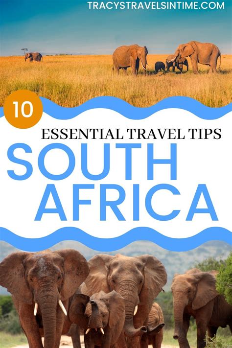 A Must Read Before You Visit South Africa All The Essential Tips You