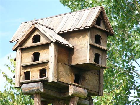 Conseils Pour Attirer Les Oiseaux Dans Son Jardin Instinct Animal