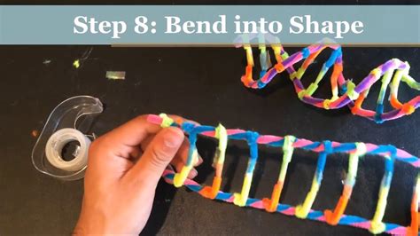 How To Make A Dna Model Using Pipecleaners Project Demonstration Youtube