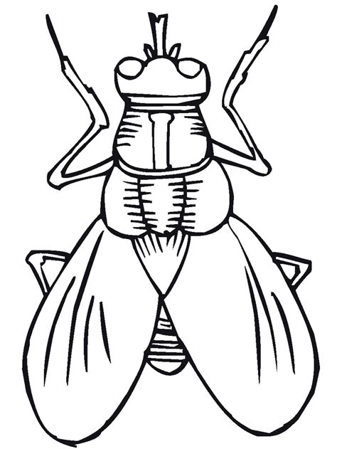 Coloring is a very useful hobby for kids. Insects Coloring Pages - GetColoringPages.com