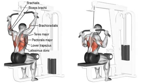 Lat Pull Down Exercises For A Defined Back - Gym Guider