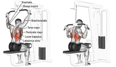 4 Lat Pull Down Exercises For A Well Built Stronger Defined Back